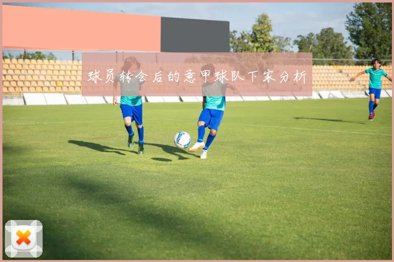 球员转会后的意甲球队下家分析