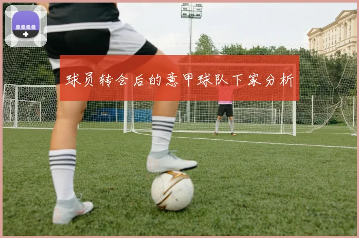 球员转会后的意甲球队下家分析